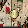 Scrapbook Paper: Musical Bees: Double Sided Decorative Paper
